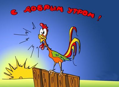 С добрым утром смешные СМС С добрым утром смешные СМС С добрым утром смешные СМС