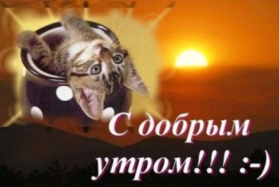 Короткие смс с добрым утром девушке Короткие смс с добрым утром девушке Короткие смс с добрым утром девушке