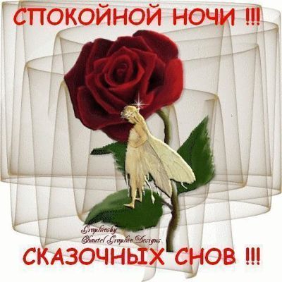 Спокойной ночи любимая смс Спокойной ночи любимая смс Спокойной ночи любимая смс